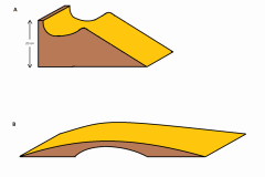 Cales pour le scrog