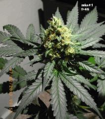 2012 07 22 112330