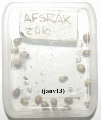 Afs