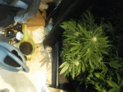 DSCF6371