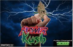 PowerKush