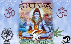 ShivaSkunk