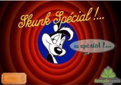 skunkspécial2