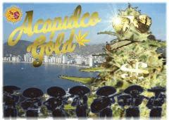 AcapulcoGold