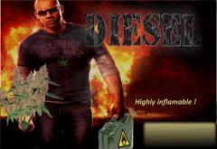 Diesel