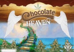 ChocolateHeaven