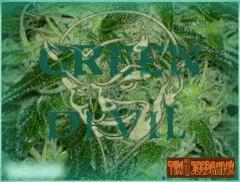 Greendevil