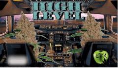 HighLevel