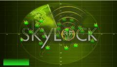 Skylock