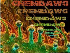 chemdawg