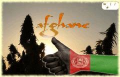 Afghane