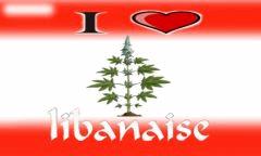 Libanaise