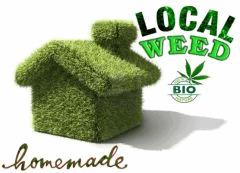 LocalWeed