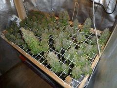 P1020023 (FILEminimizer)