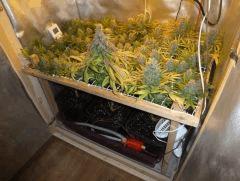 P1010782 (FILEminimizer)