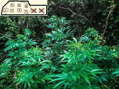 photo200