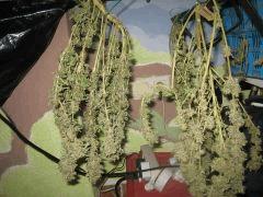 5 IMG 4742