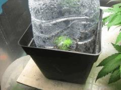31 IMG 4459