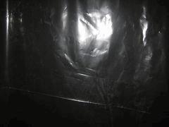 30 IMG 4458