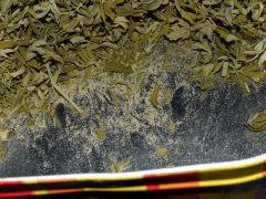 Skunk#1 Fem Manuc, a la bonne Franquette .........