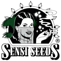 sensi seeds
