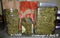 curring des 3 premiére
