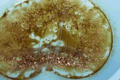 bho - purification
