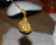 BHO