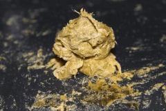 BHO