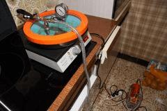 IMG 2451