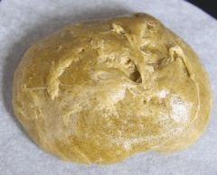 BHO