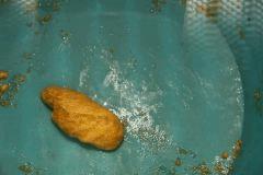 IMG 2426