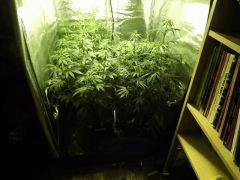 DSCF0640