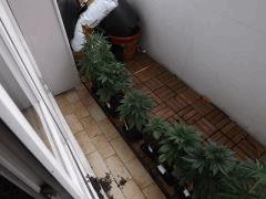 DSCF0583