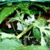 IMG 20130508 214816