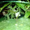 IMG 20130508 214905