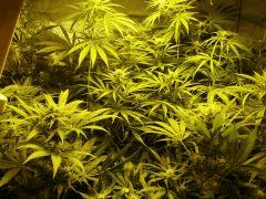 C 40 F 14