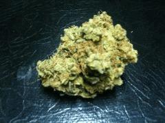 Original Amnesia de Dinafem
