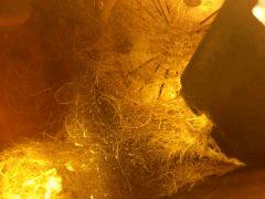roots 1024 clean