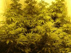 Photo de famille 12/12 +20j