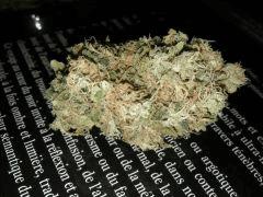 XHaze