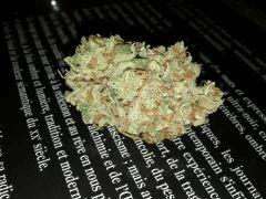 Silver Haze#9