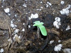 IMG 20140317 180901