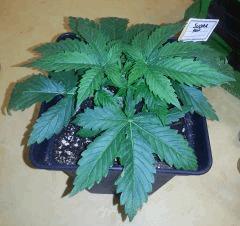 IMG 20140220 104858