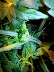 IMG 20140302 103246