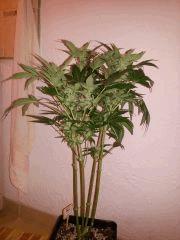 IMG 20140404 101638