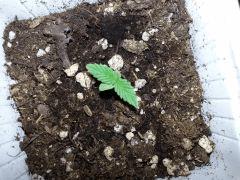 IMG 20140204 135228