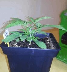 IMG 20140220 105007