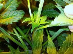 IMG 20140302 103147