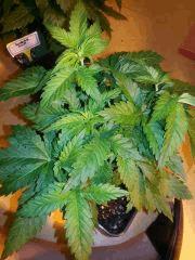 IMG 20140305 094542